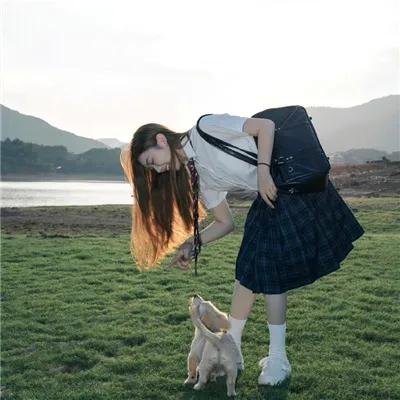 美国鸟类